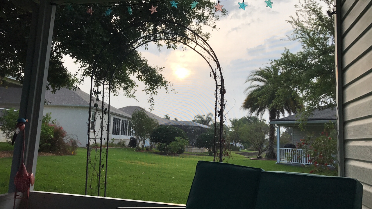 Birds after the rain and house update, in The Villages, FL 2017 how to slice an avocado