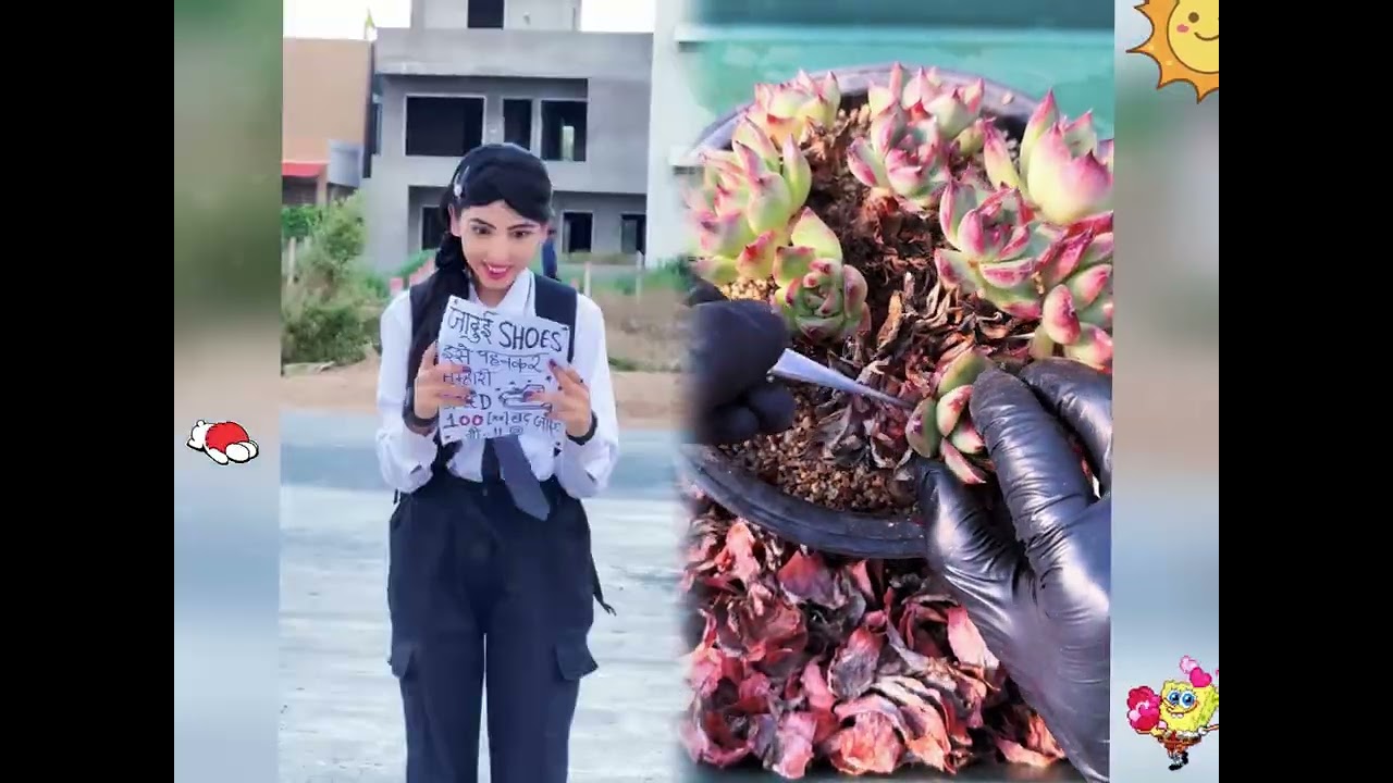 2026 pov Must-Watch Crazy Clips Compilation #humor #fypシ #pov #fyp #foryou 😍😜