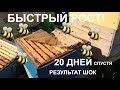 Ускоренное развитие весной / результат!!!!/Пасека 2018/ пчелы