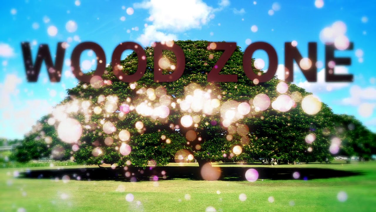 【REDZONEアレンジ】WOOD ZONE YouTube