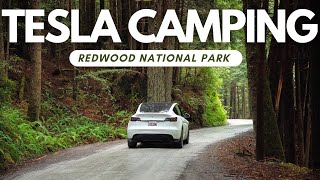 TESLA CAMPING in REDWOOD NATIONAL PARK - Road trip from LOS ANGELES to the FOREST // 4K