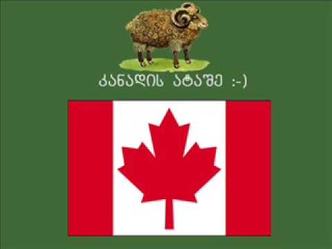 Sorry უთხარი