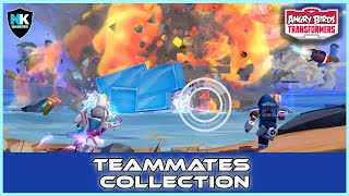 ABT Teammates Collection - Slipstream & Neon Private Mirage - Beach Gold Run