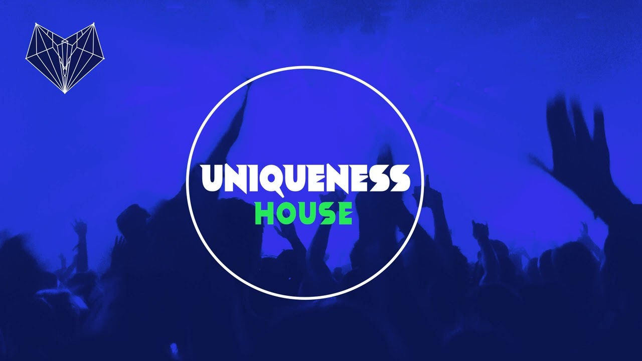 Da Hool - Meet Her At The Love Parade (Flash 89 Remix)