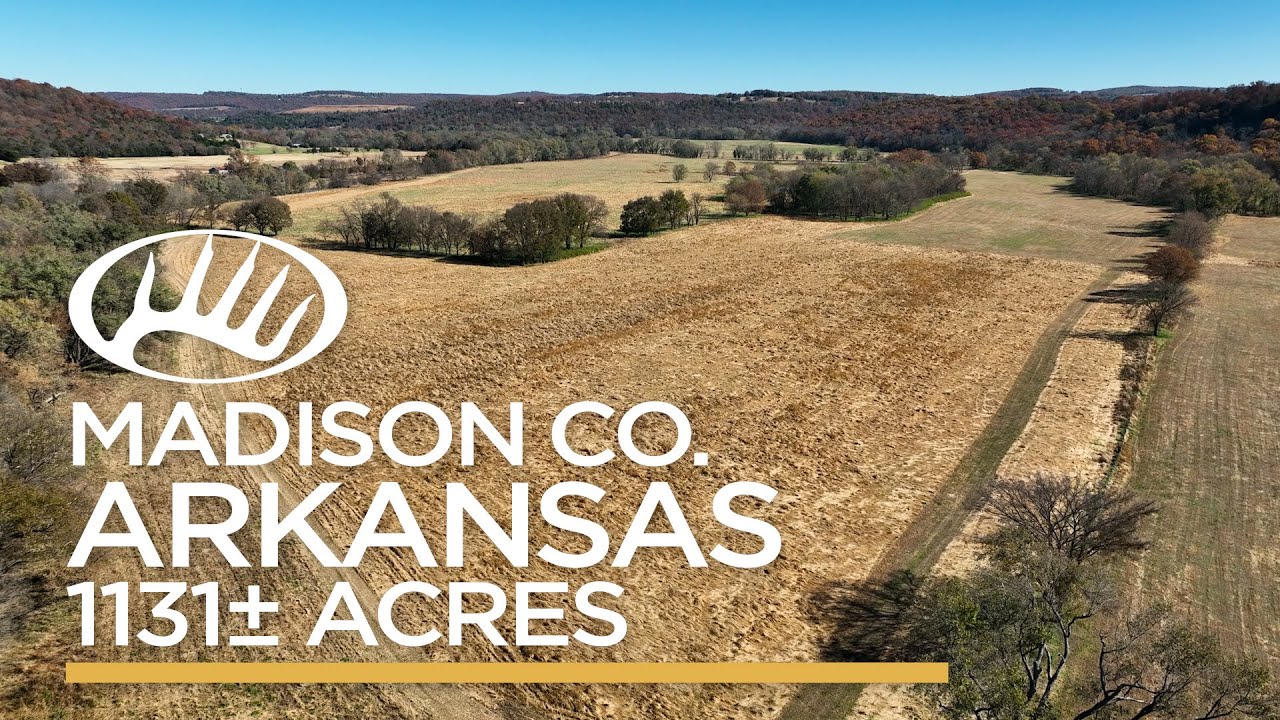 Madison County, AR 1131± Acres YouTube
