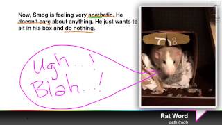 Rat Word: path (root)