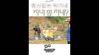 정신없는 박가네 (농사편)  쫌 치네? #가족 #쇼츠 #썰 #일상 #코미디 #부모님과