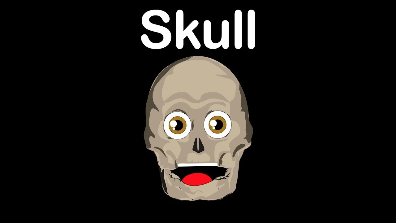 Human Body for Kids/Skull Bones/Skull Song - YouTube