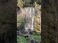 Beautiful Waterfall in Japan 🇯🇵🌊 #japan #waterfall #travel #shorts #2026