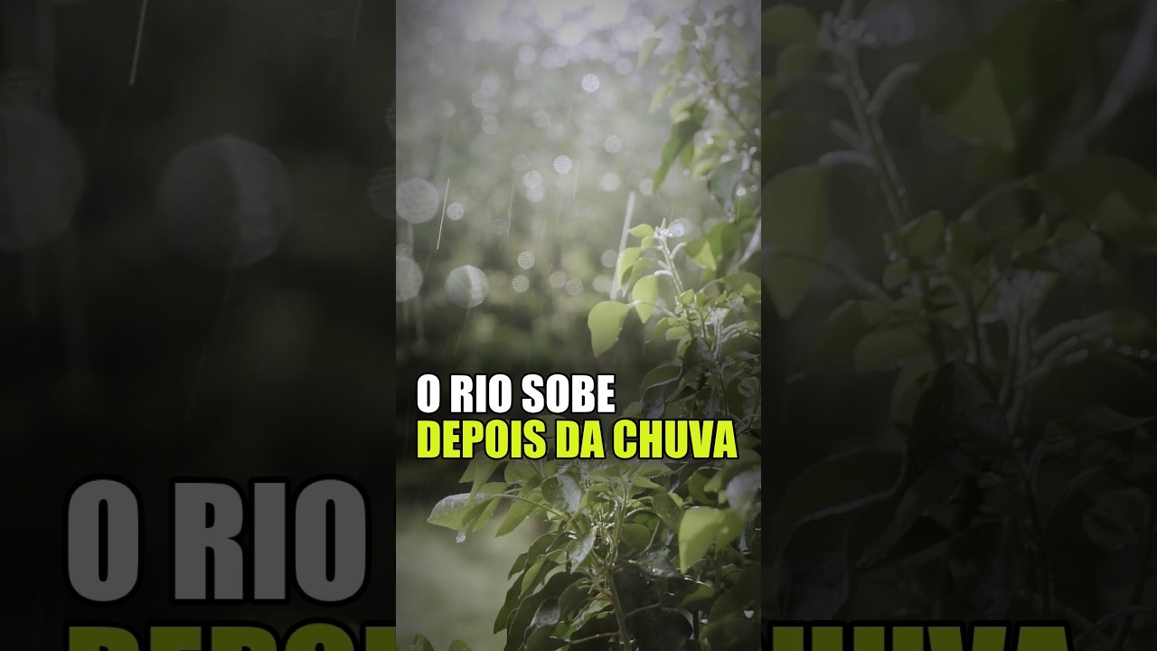 O rio continua subindo com o céu limpo — Piracicaba está a 58 cm de transbordar