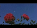 Cat Power - Woman (feat. Lana Del Rey) LYRICS