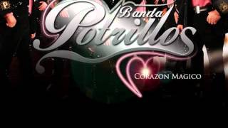 Video thumbnail of "Banda Potrillos - El Herradero (Estudio)"