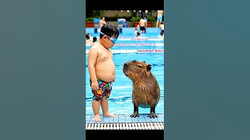 Capybara và Long béo tham gia cuộc thi bơi liệu có kiếm được một tỷ🤣#shorts