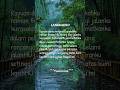 Langkahku #quotes #shorts #motivasi #motivasihidup #talentana