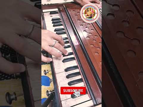 Master Harmonium Chords in C with Harry's Expert Guide