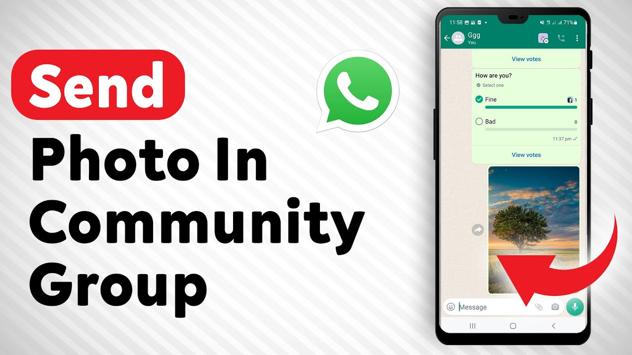 How To Send A Photo In A Community Group On WhatsApp - Full Guide - YouTube