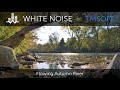 Flowing Autumn River Nature Ambience in 4k 60p Scenic Video