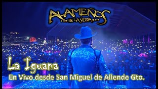 Miniatura del video "Los Alameños de la sierra 4K, La Iguana, En Vivo desde San Miguel de Allende Gto."