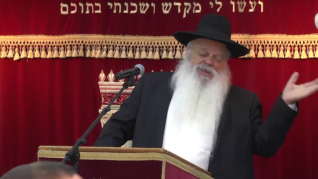 הפתח לקדושה | סדרת שבת קודש | הרב דניאל זר