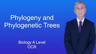 A Level Biology Revision 'Phylogeny and Phylogenetic Trees'