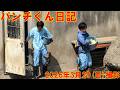 パンチくん日記【2026年3月29日撮影】市川市動植物園 Punch the monkey 【Punch the monkey's video in March 29, 2026】