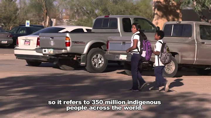 2. What is the United Nations Declaration on the Rights of Indigenous Peoples?