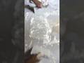 tiles ar ফিনিশিং 😱😱।#trending #shorts#short#viralreels #reelsvideo