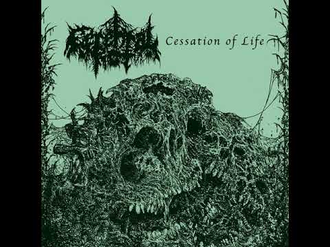 Cerebral Rot - Intro/Cessation of Life