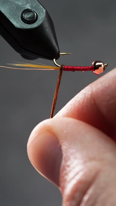 This Fly Is an Absolute Fish Magnet! — Fly Tying in 60 Seconds