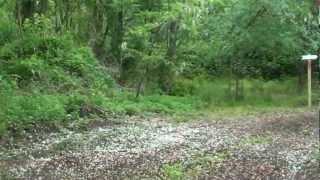 West Avenue Nature Trails in Delanco, NJ Grand Opening