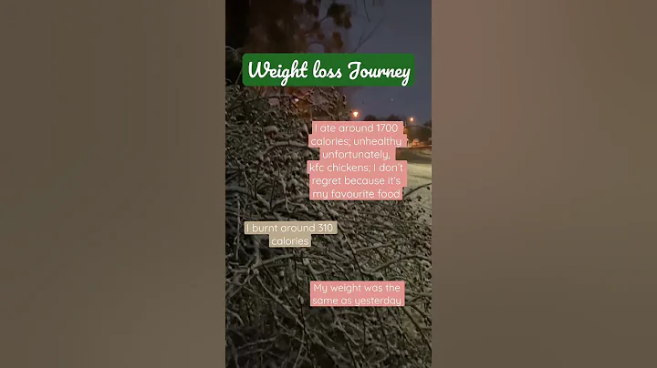 Weight loss Journey || the amount of calories was ...