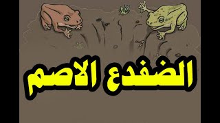 تدريب قراءة و ترجمة - الضفدع الاصم