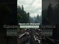 Стекло, поглотившее леса #история #средневековье #технология #обезлесение #секреты