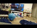 Playing dandys world!