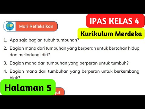 Video: Bagian tumbuhan apa yang berperan dalam fotosintesis?