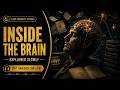 How the Human Brain Works | Sleep Science for Sleep