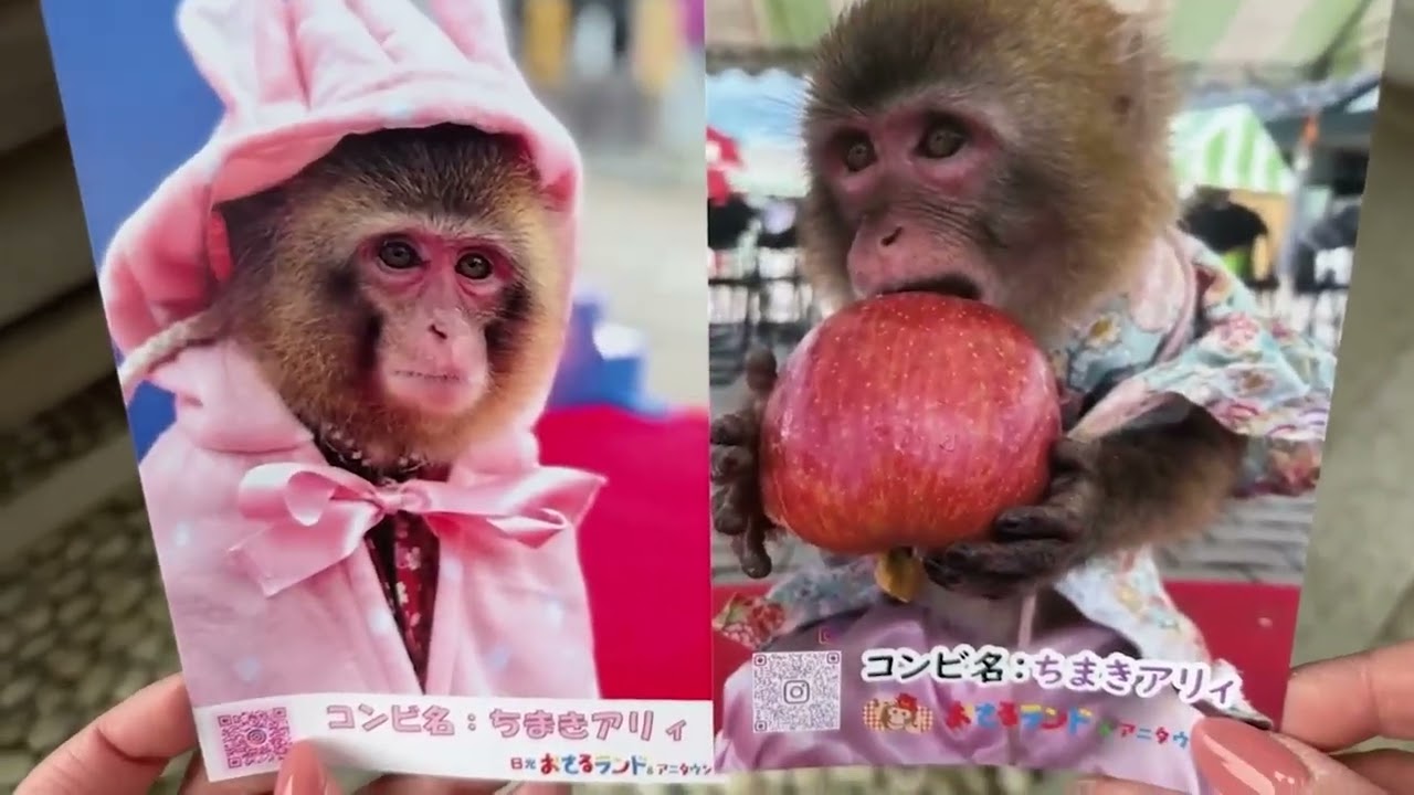 梅祭りやってる？周辺お散歩するぞ！