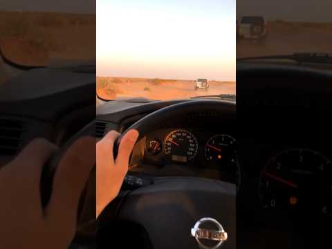 الطير والمقناص عندي عزيزين مقناص