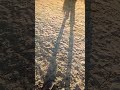 Ngombe Wa Masanja 