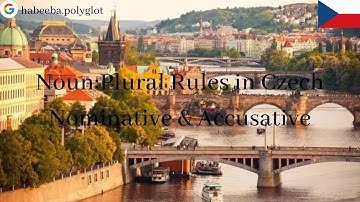 Noun: Plural Rules in Czech :Nominative & Accusative Case - Habeeba Ahmed - Global Trainer.