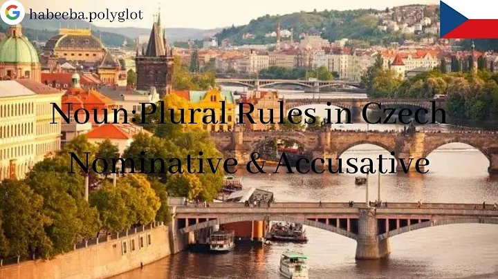 Noun: Plural Rules in Czech :Nominative & Accusative Case - Habeeba Ahmed - Global Trainer.