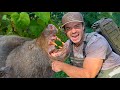5 Days Hunting Giant Bear Camping In Appalachia 