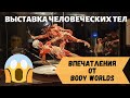 Как я побывала на выставке мертвых тел BODY WORLDS