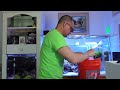 How To Be Successful  At Schooling Fish In Small Aquariums - BLUE GREEN CHROMIS (Spanish subtitles)
