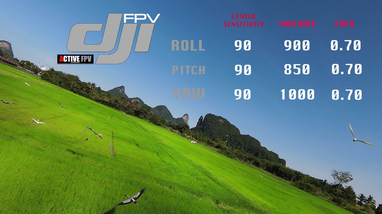 dji-fpv-rates-settings-footage-4k-phatthalung-thailand-djifpv