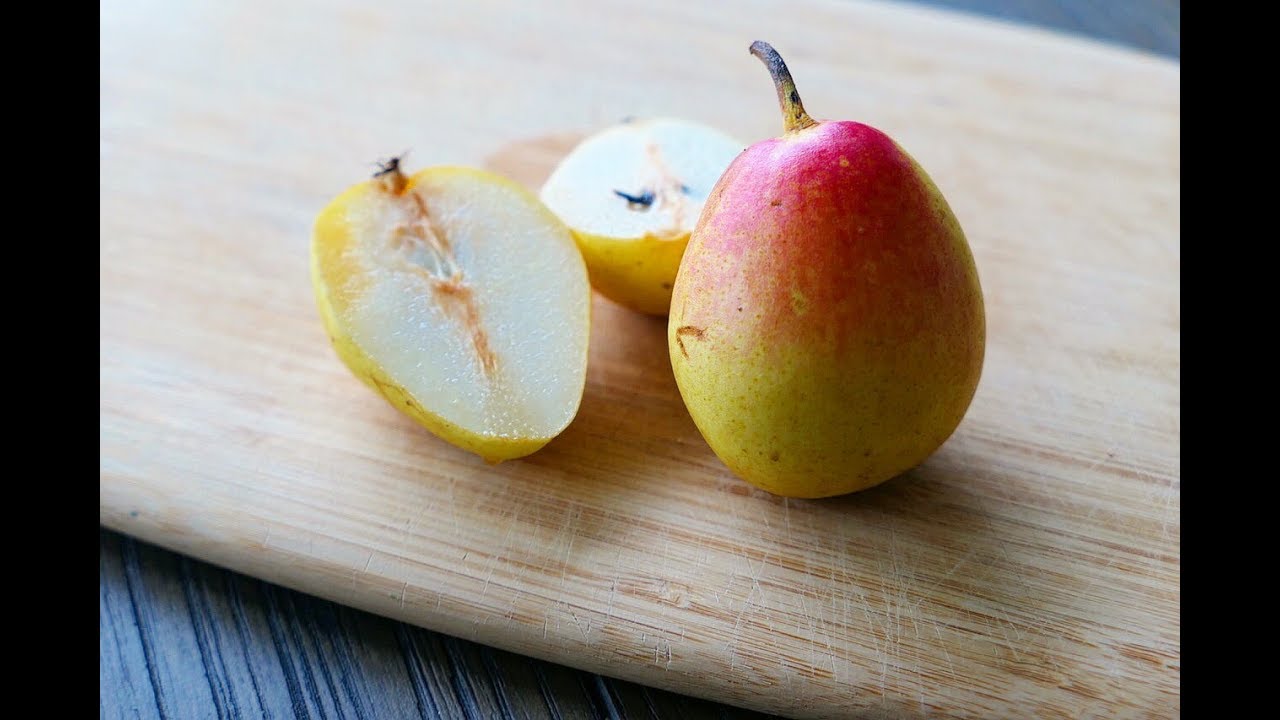 Peruan Pears What Do They Taste Like Health Benefits Of Pear Youtube