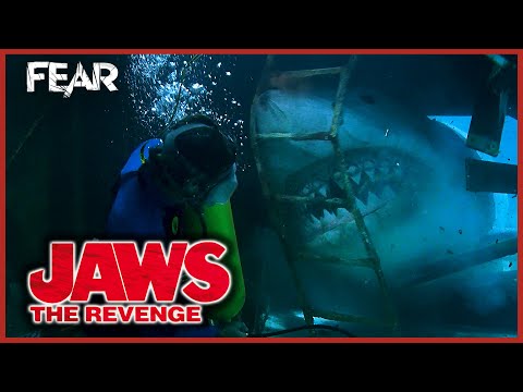 Jaws Chases Him Through A Shipwreck Jaws The Revenge Fear
