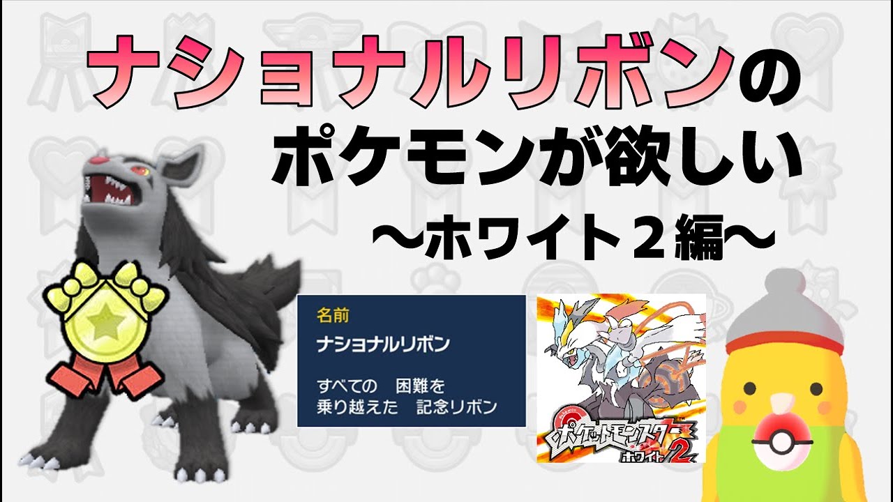 【ナショナルリボンのポケモンが欲しい！】ホワイト2（完全初見）編 Part2