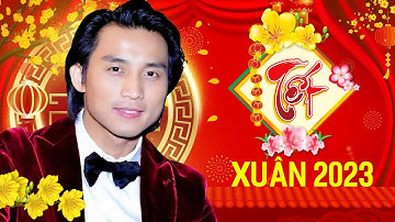 Liên Khúc MÙA XUÂN ĐÓ CÓ EM, XUÂN NÀY CON KHÔNG VỀ - Nhạc Xuân Hải Ngoại Đan Nguyên 2023 Hay Nhất