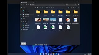 :      WINDOWS 10/11 // FILES